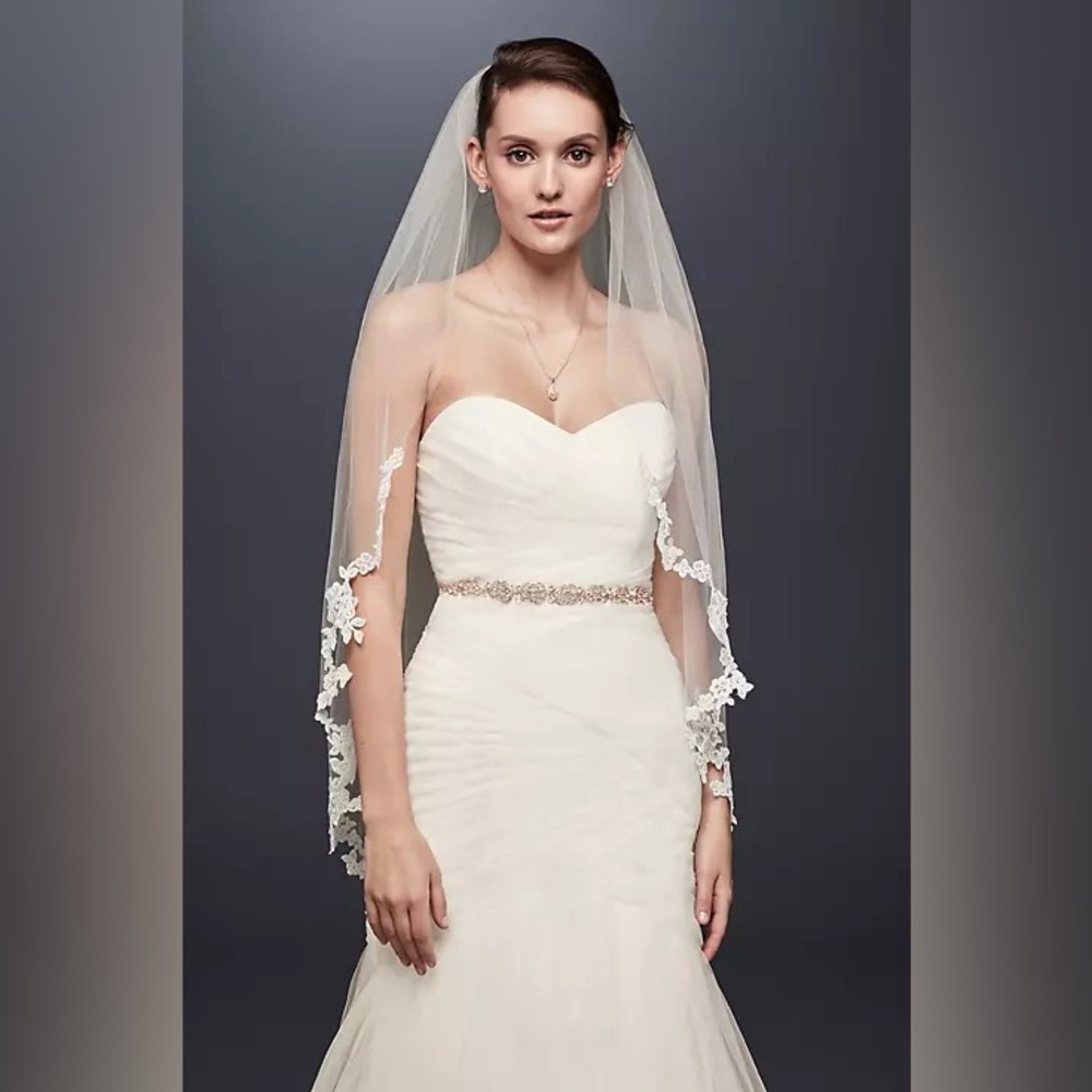 DAVID'S BRIDAL
corded lace edge fingertip veil IVORY